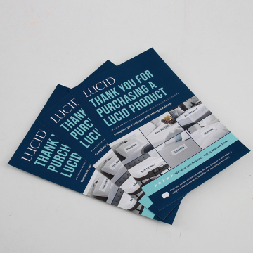 Print and Design Services: Flyers, Brochures, and Custom Prints