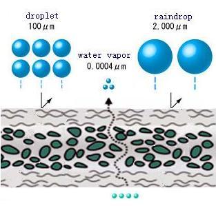Roofing Underlay-En13859
