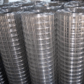 Galvanized Welded Wire Mesh Rolls