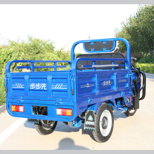 2020 New Style 1000 Watt Motor Cargo Delivery Dreirad