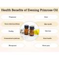 Supply organic cold pressed evening promise oil bulk