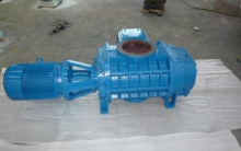 ZJ150 Roots Vacuum Pump