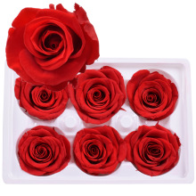 Yuntu Wholesale Natural Real Touch Fresh Eternal Forever Preserved Roses
