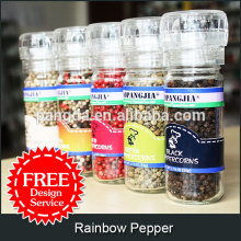 Rainbow Pepper