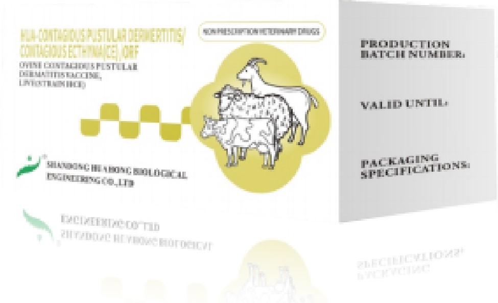 VACCIN DERMATITA PUSTULARĂ CONTAGIOSĂ HUA-OVIN, VIE (TULINA HCE) HUA-OVINE CONTAGIOUS PUSTULAR DERMATITIS VACCINE, LIVE (STRAIN HCE)