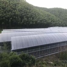 Invernadero de túnel de polietileno económico para la agricultura