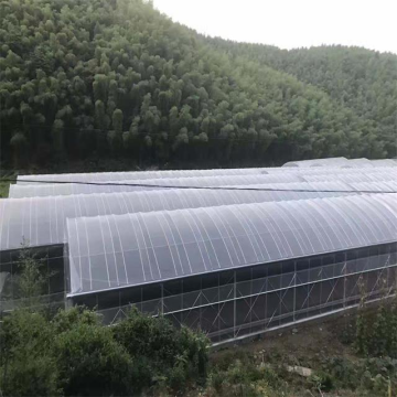 Verzinkter Stahlrahmen Plastikfilm Tunnel Gewächshaus