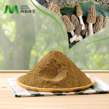 Natural Boletus Edulis Extract Powder