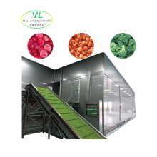 Hotsale Factory Supply Industrial Quick Freezing Machine for Berries and Green Peas