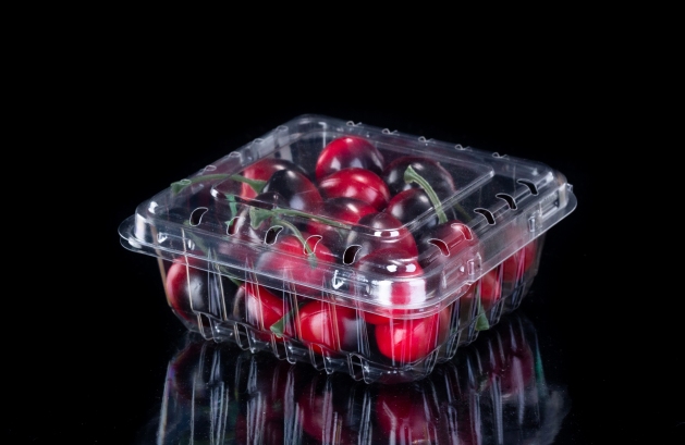 Boîte en plastique de pompe de légumes de détail