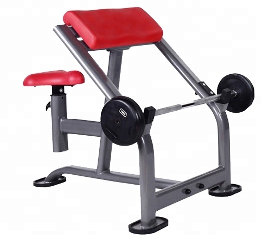arm curl bench