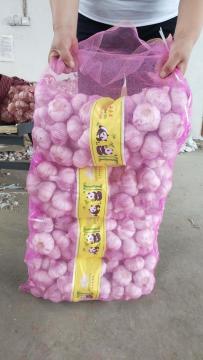 natural ajo 2020crop fresh garlic