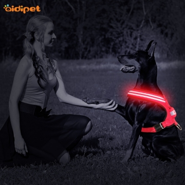 Premium USB Rechargeable Glow Up Led Dog Harness