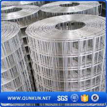 Hot-Dipped/Electro Galvanized/Pvc Coated Welded Wire Mesh