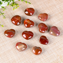 Polished Palm Stone with Petrified Wood Heart