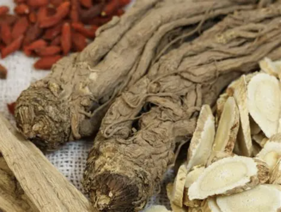 مورد استخراج الكودونوبسيس Codonopsis Extract Supplier