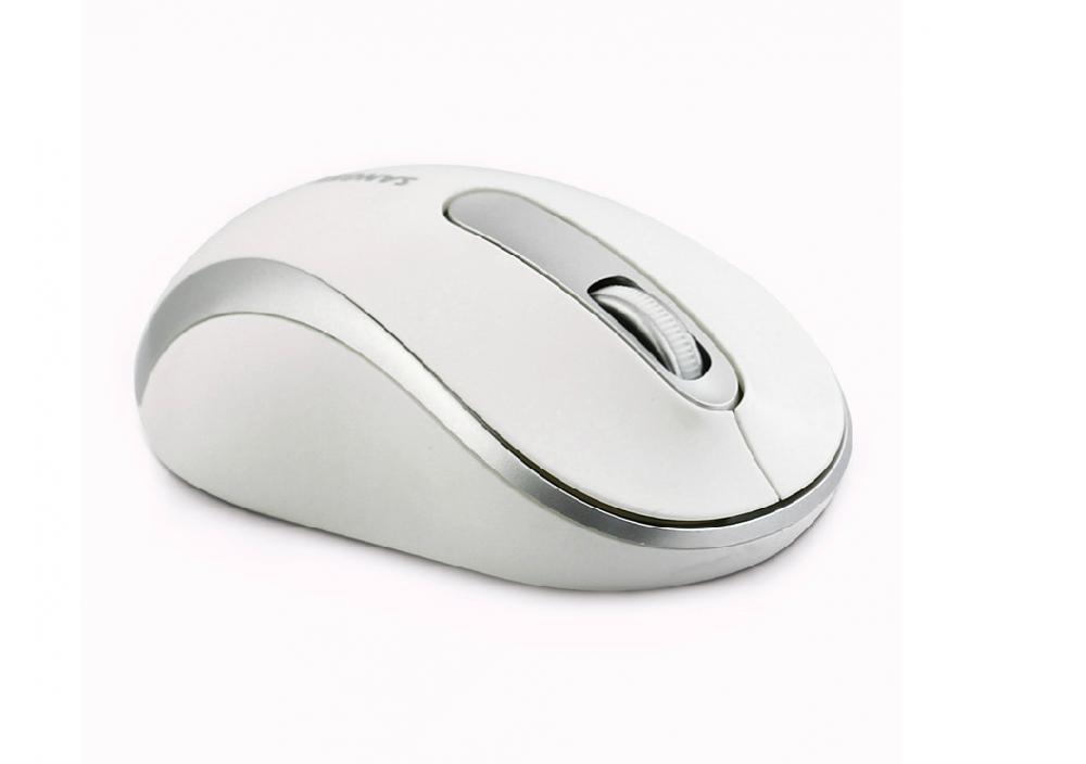 Stampo a conchiglia per mouse con stampaggio personalizzato ad alta precisione