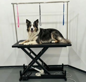 Foot Pedal Control Electric Veterinary Examination Table