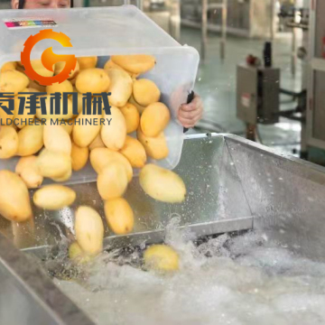 Aseptic package mango pulp production line from fresh mango
