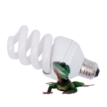 Wholesale Reptile UVB Fluorescent Lamps & Lights