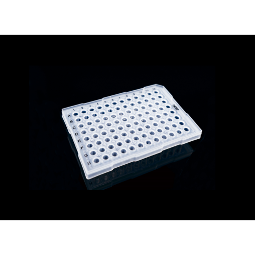 Tấm PCR 96-Well 0,2ml