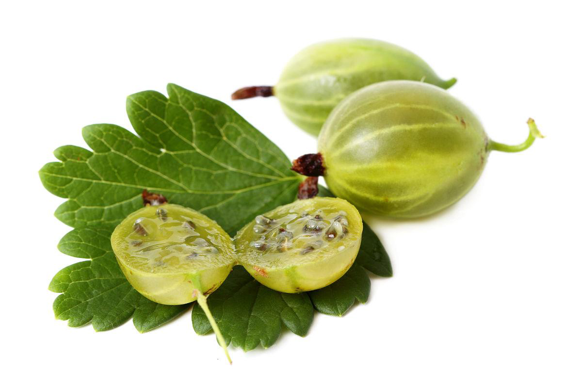 Amla -Obstpulver (1) amla fruit powder (1)