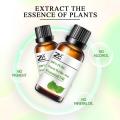 organic sweet perilla essential oil