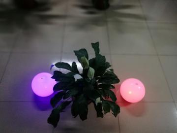 LED Decorative Balls Night Lights