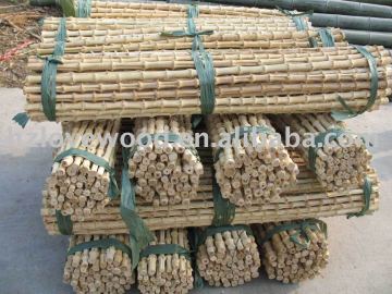 natural bamboo root, bamboo root cane, bamboo rhizome for bag handle