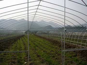 Economical Greenhouse Structure