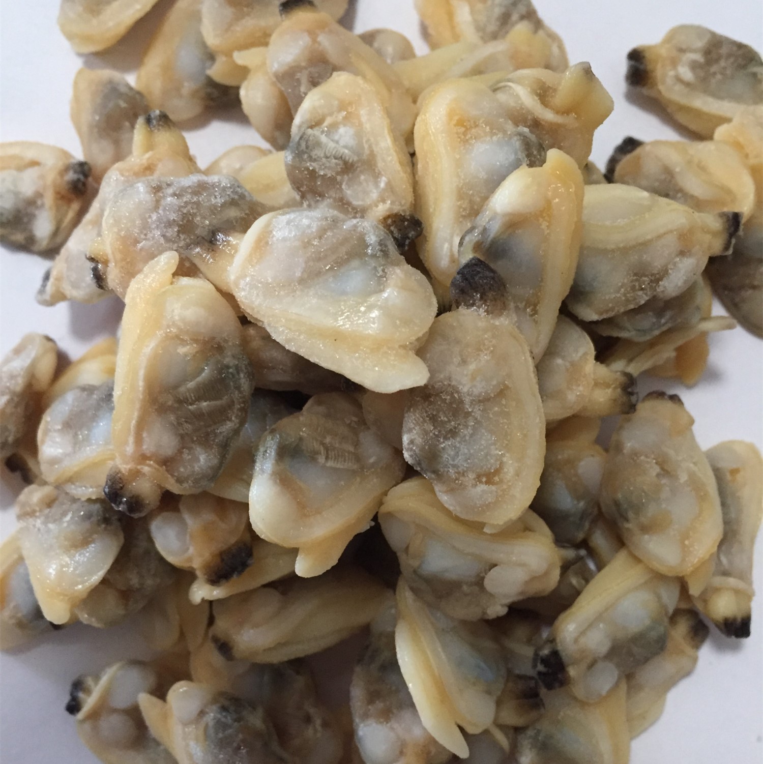 Mięso małży w wyszukiwarce skorupiaków