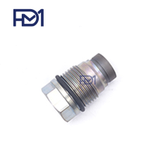 1110010028 Fuel Pressure limiter