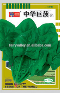 High Quality Chinese Spinach Seeds Leafy Vegetable Seeds For Planting-Chinese Big Spinach