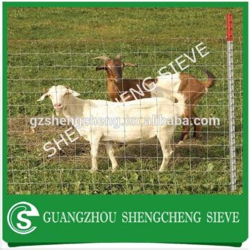 Factory galvanised animal wire mesh fence sheep wire