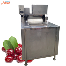 High Efficiency Cherry Stalk Removing Machine - Automatic Cherry Destemmer