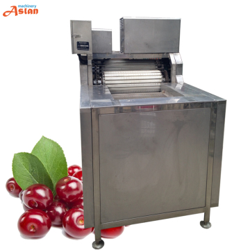 High Efficiency Cherry Stalk Removing Machine - Automatic Cherry Destemmer