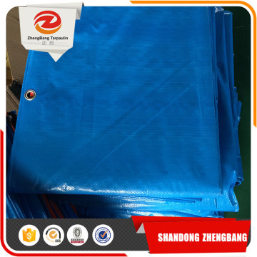 PE plastic tarpaulin Laminated Pe Tarpaulin car cover