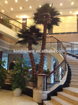 High quanlity pine tree plastic welcoming pine tree for hotel christmas party decoration xmas greeting pine tree