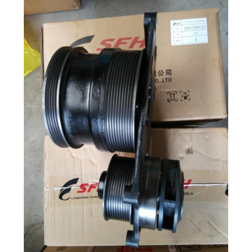 5801569151 17400-50821 Genlyon Hongyan Truck Parts