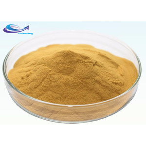 Supply Pure pumpkin powder food supplement