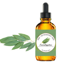 Private label 100% minyak esensial eucalyptus murni