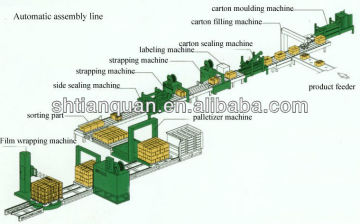 Carton box pack line