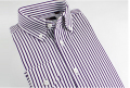 CVC popeline striscia modello camicia button maschile down