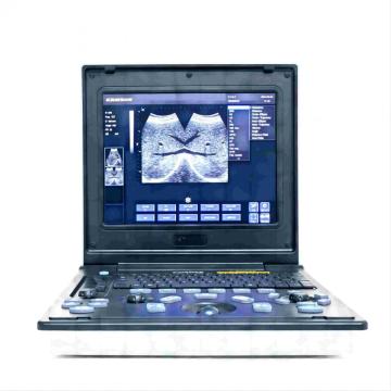 Siamese cat renal ultrasound diagnostic equipment