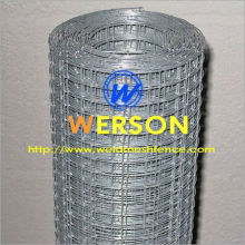Gutter Mesh