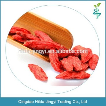 Ningxia goji berry origin from ningxia