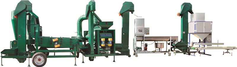 linea di lavorazione del seme seed processing line