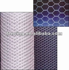 Chicken/Hexagonal Wire Mesh (5% discount in Jan.2012) En,BS,Din standard