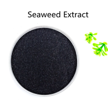 Buy online raw materials Seaweed Extract powder