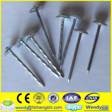 Big head roofing nail/13G roofing nail